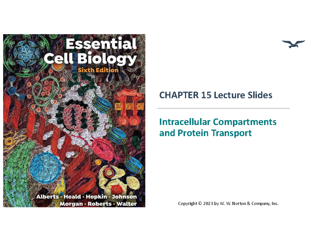 CHAPTER 15 Lecture Slides: Intracellular Compartments and Protein ...