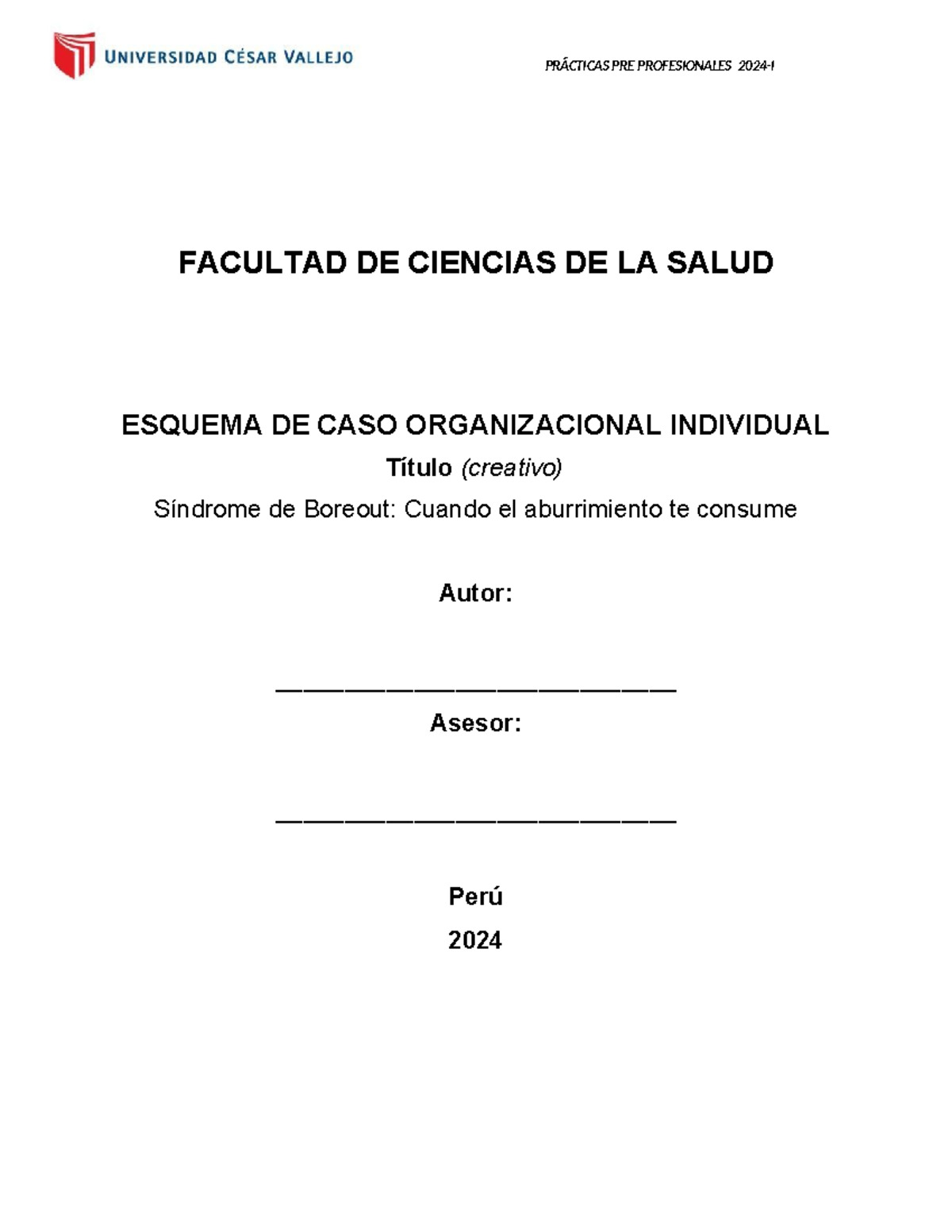 Esquema de Caso Organizacional Individual - Prácticas Pre Profesionales 2024-I - Document Preview