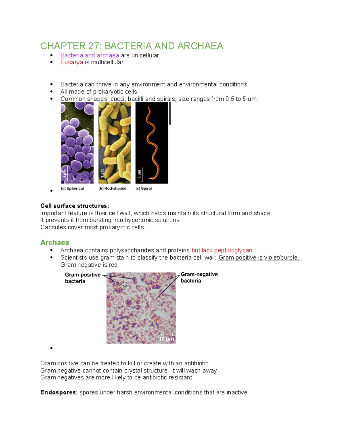 Activity Report on Animal Diversity: Organism Classifications and ...