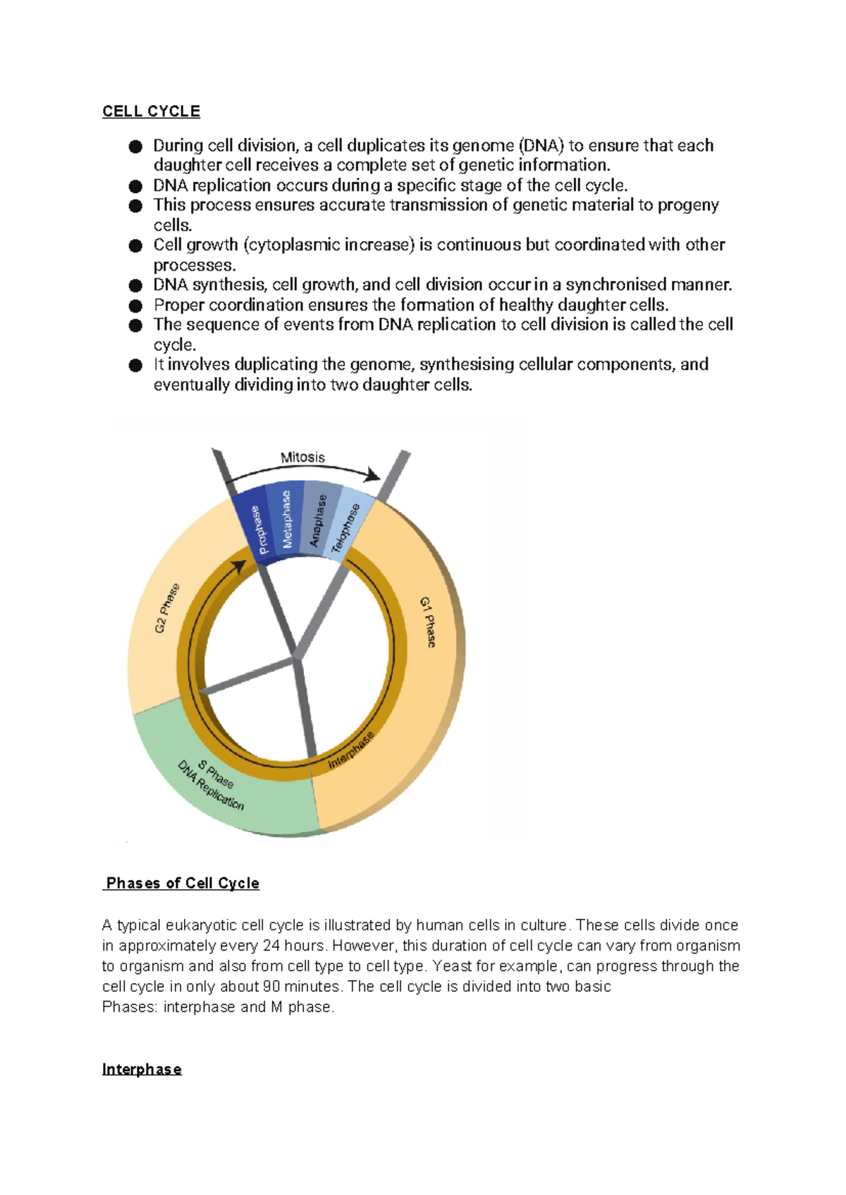 Cell cycle and cell division - CELL CYCLE During cell division, a cell ...