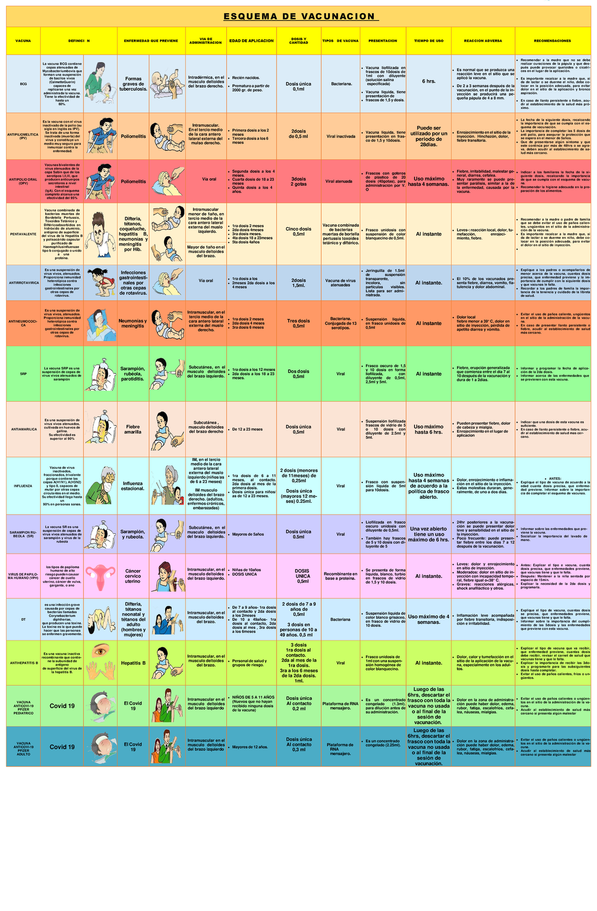 Esquema de Vacunación Actualizado 2024: Tipos y Recomendaciones - Document Preview