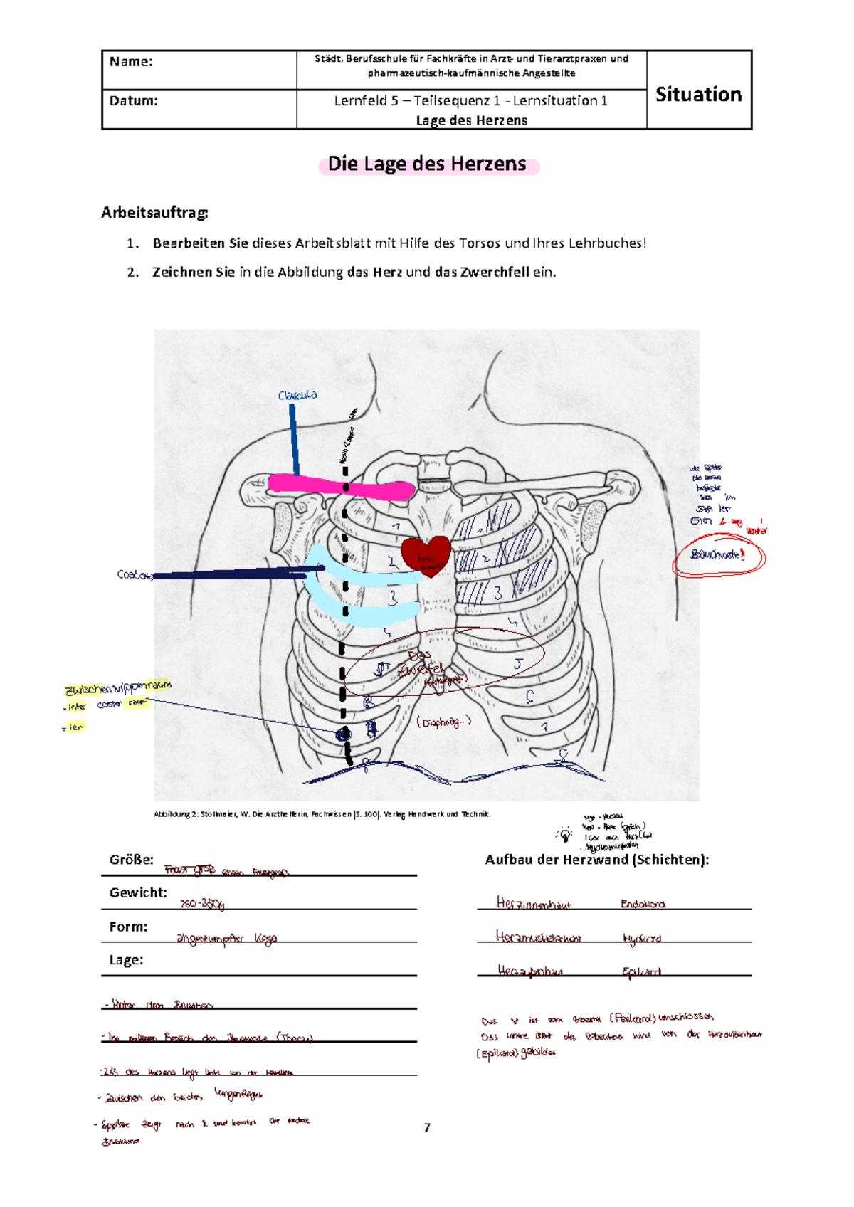 Lernfeld 5: Anatomie und Funktion des Herzens - Arbeitsblätter und