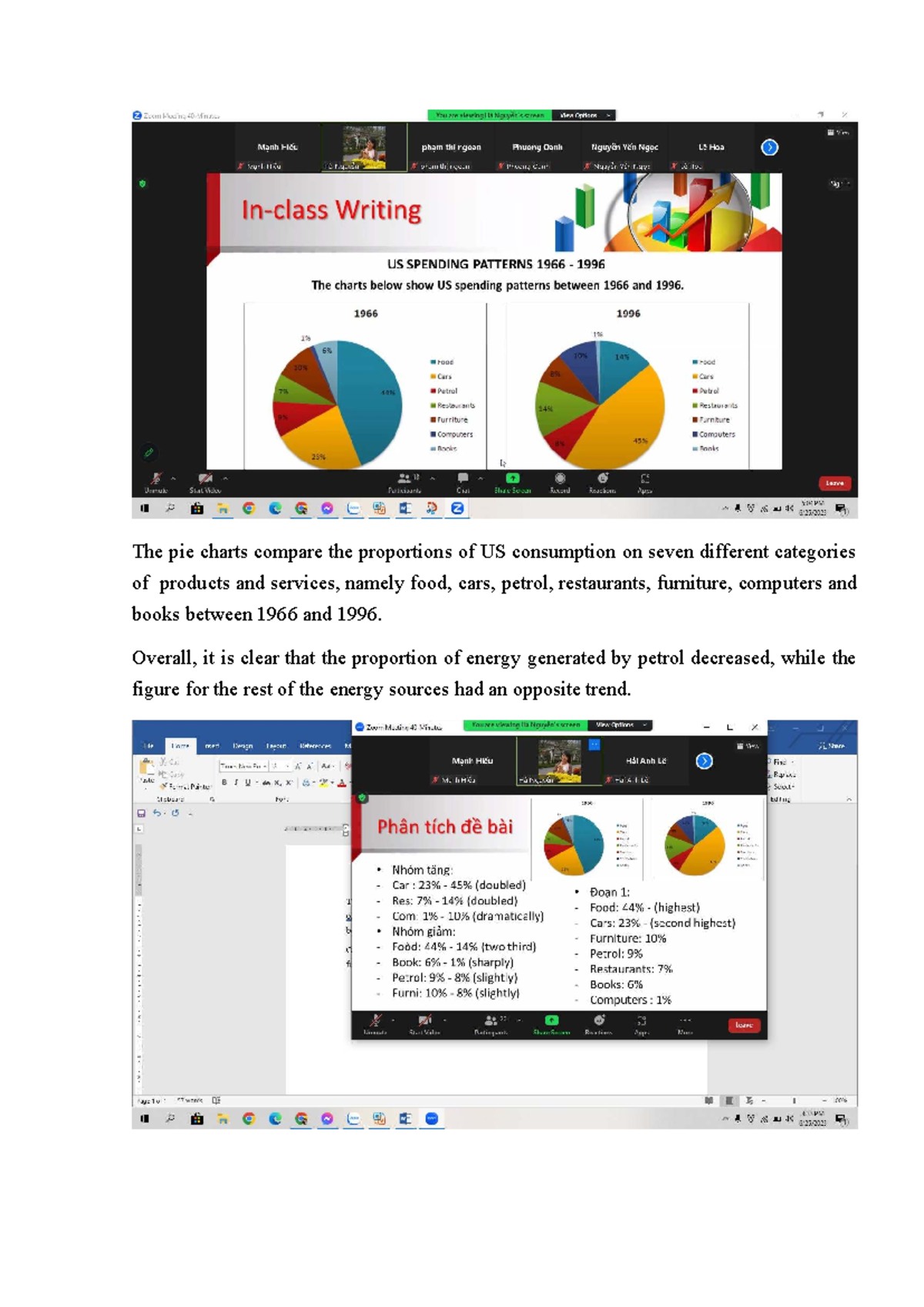 US Consumption Trends: Pie Chart Analysis (1966-1996) - Studocu