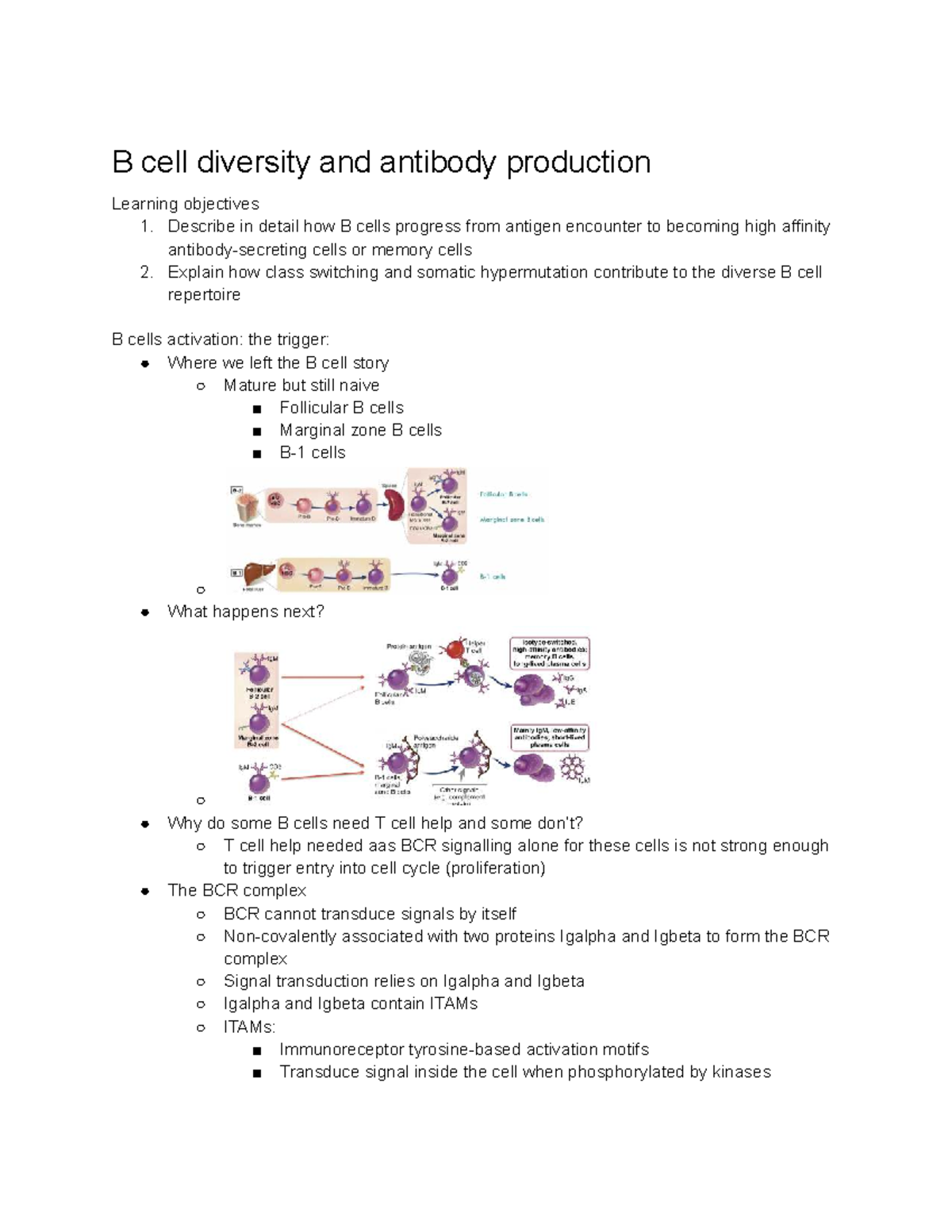 IMMU3102 Week 9 Lecture Notes: B Cell Diversity & Antibody Production ...