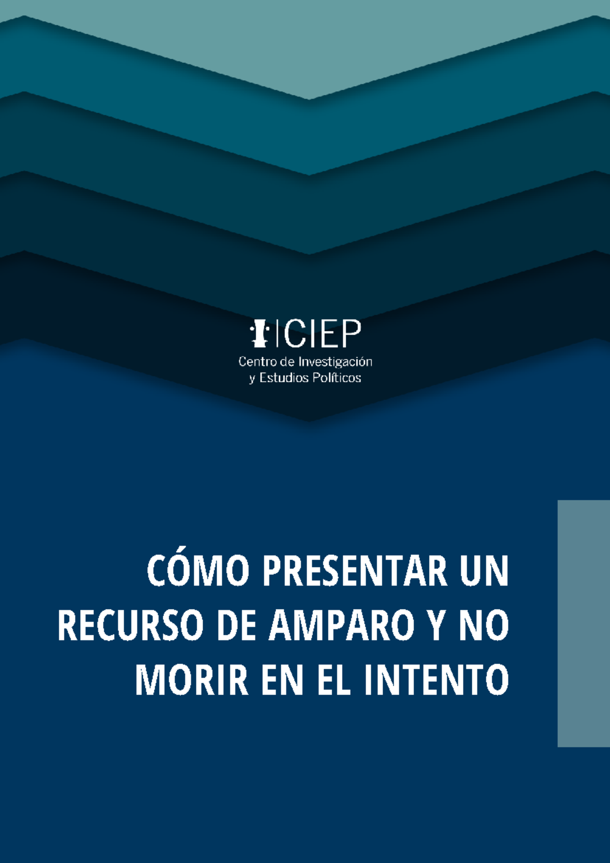 Revista: Guía para Presentar un Recurso de Amparo Efectivo - Studocu