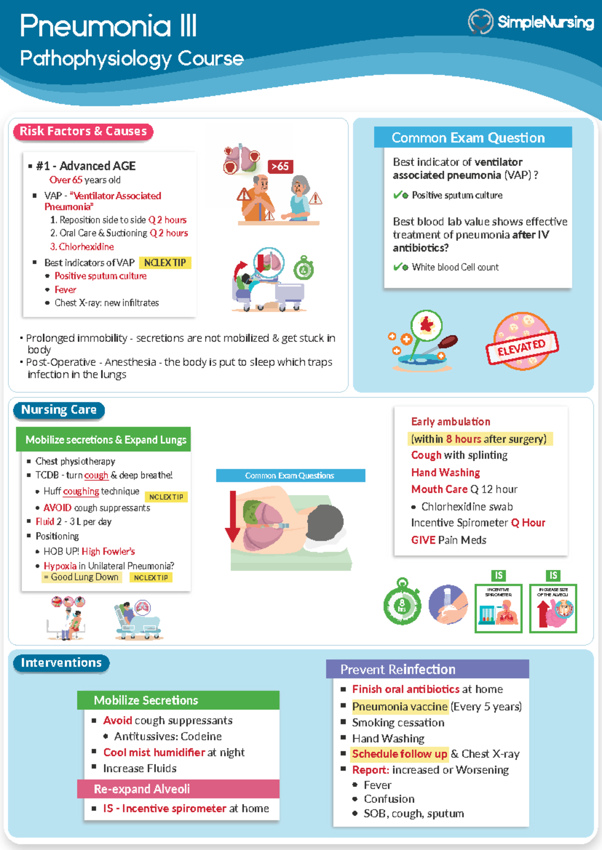 Pneumonia Pathophysiology & Treatment: Common Exam Questions (NURS 101 ...