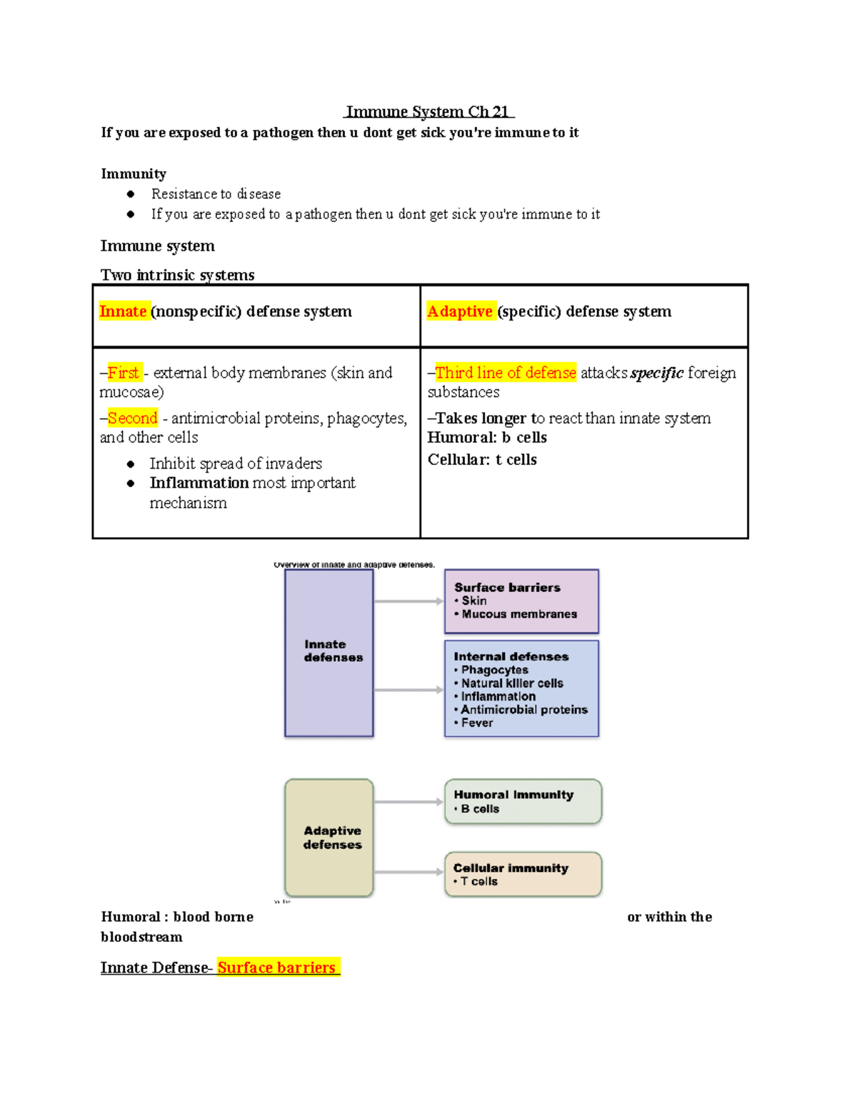 Bio 347 Exam 2 Immune System Study Notes and Key Concepts - Studocu