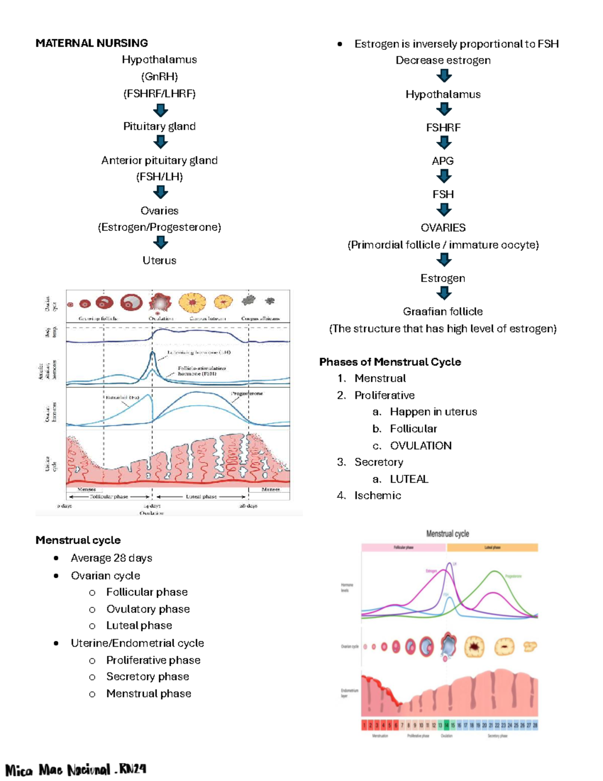 MCHN (Intensive) - Maternal Nursing: Hormonal Regulation & Menstrual ...