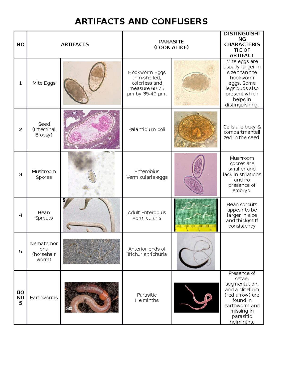 Artifacts and Confusers in Clinical Parasite Identification - Studocu
