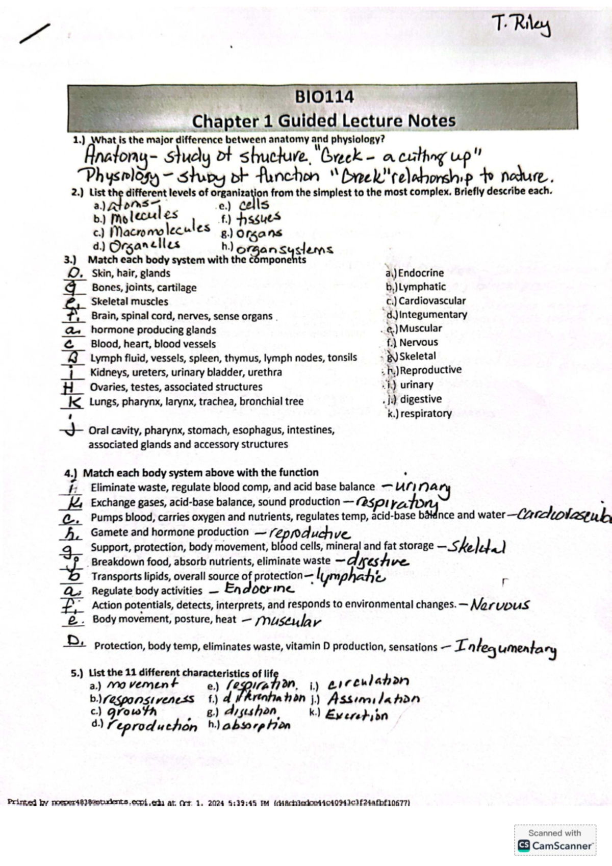 BIO114 Chapter 1-2 Guided Lecture Notes: Anatomy, Physiology & Life ...