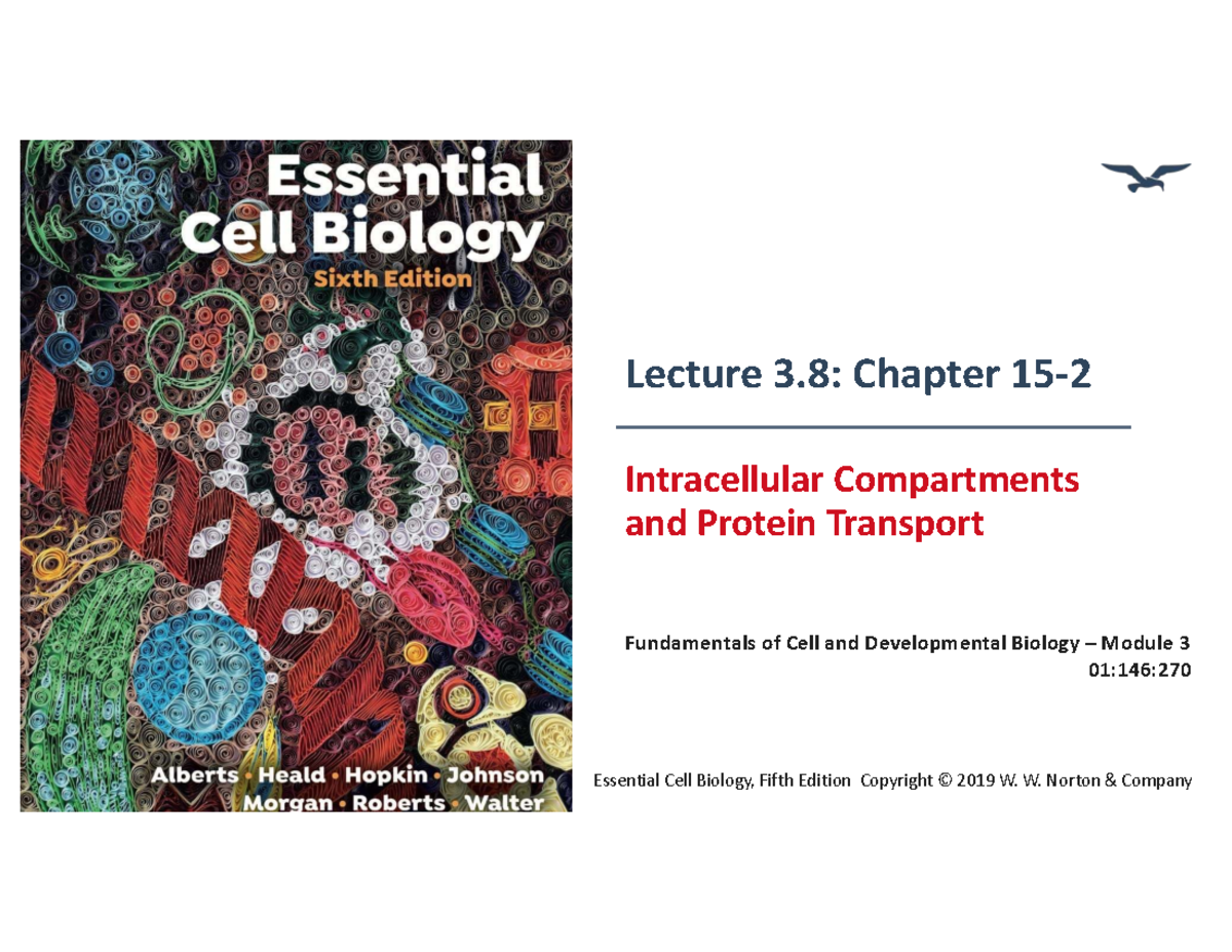 Lecture 3.8: Chapter 15-2 - Intracellular Compartments and Protein ...