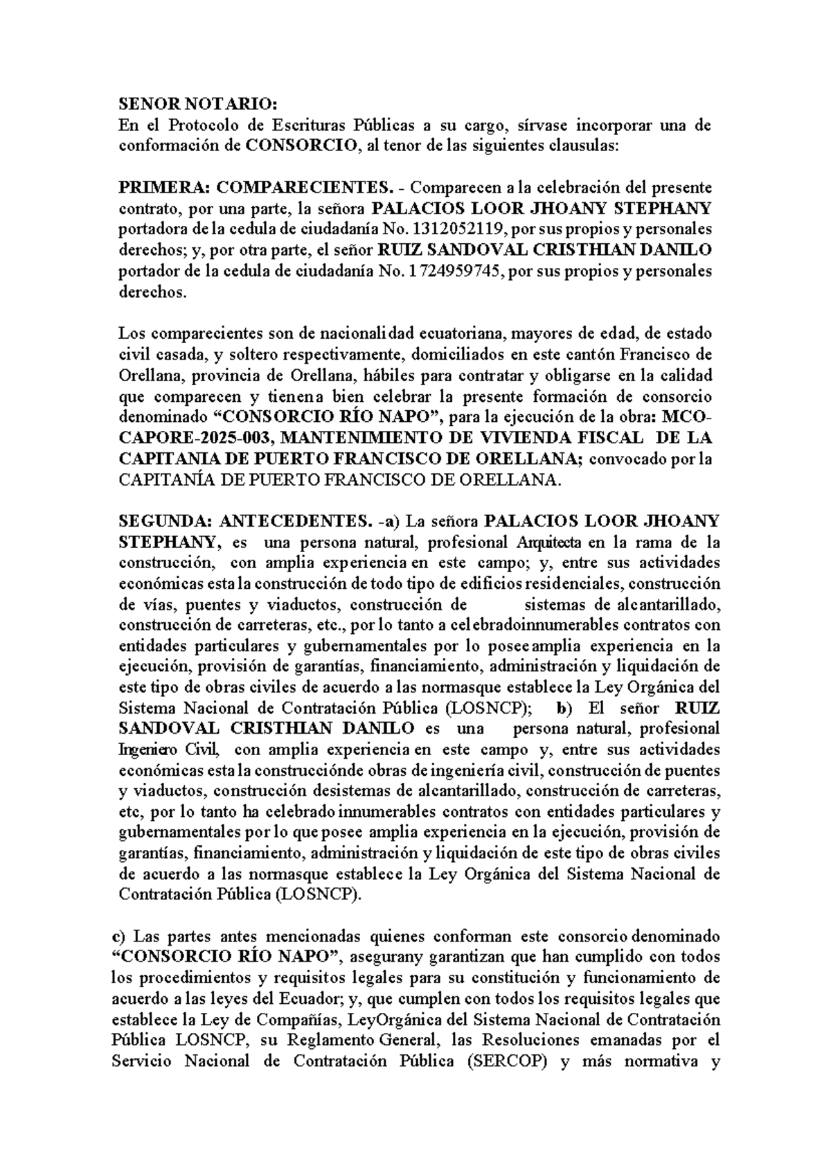 Minuta de Constitución del Consorcio NAPO para Obra Pública - Document Preview