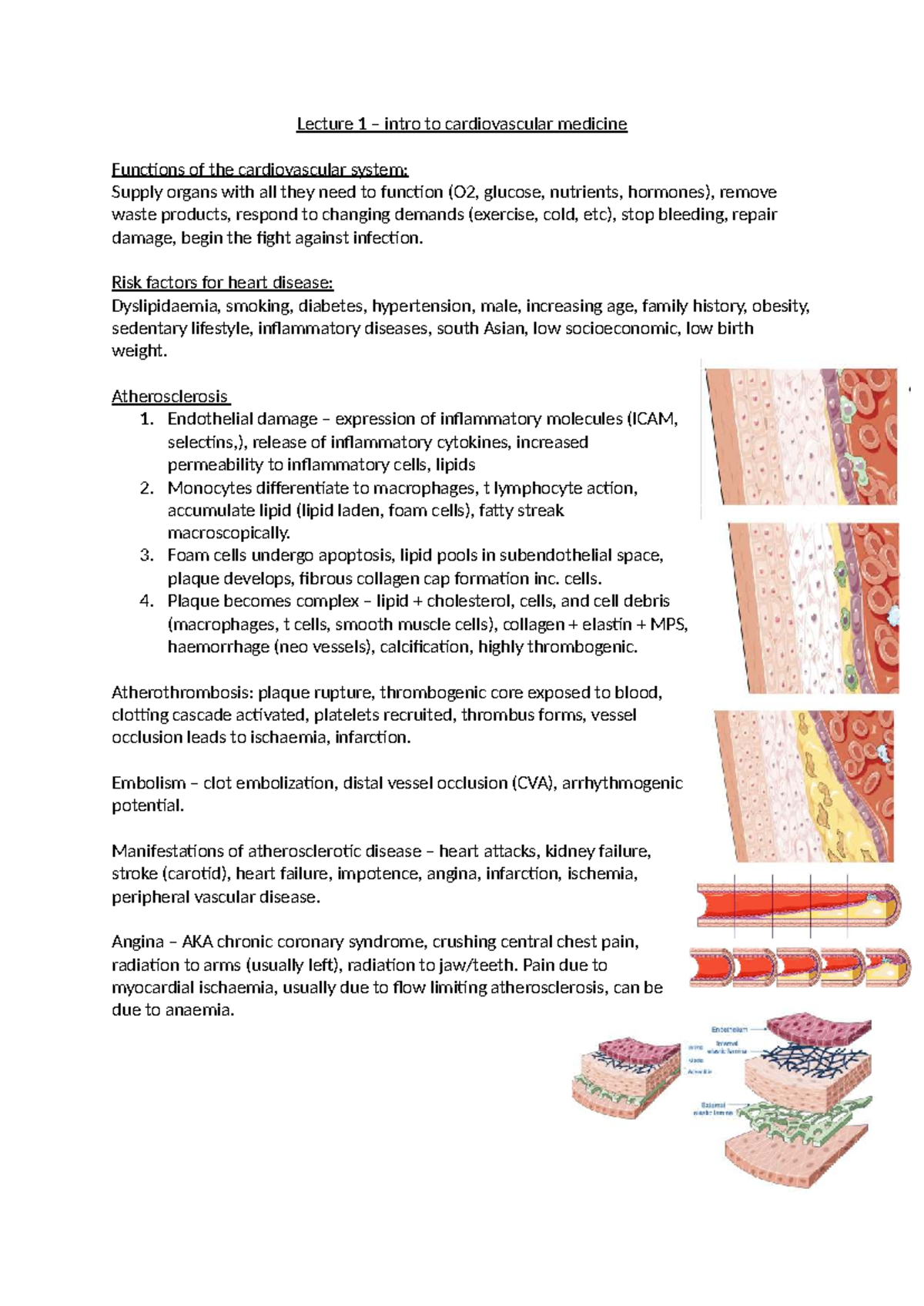 Cardiovascular Medicine Lecture Notes (CVS 101): Functions, Risks, and ...