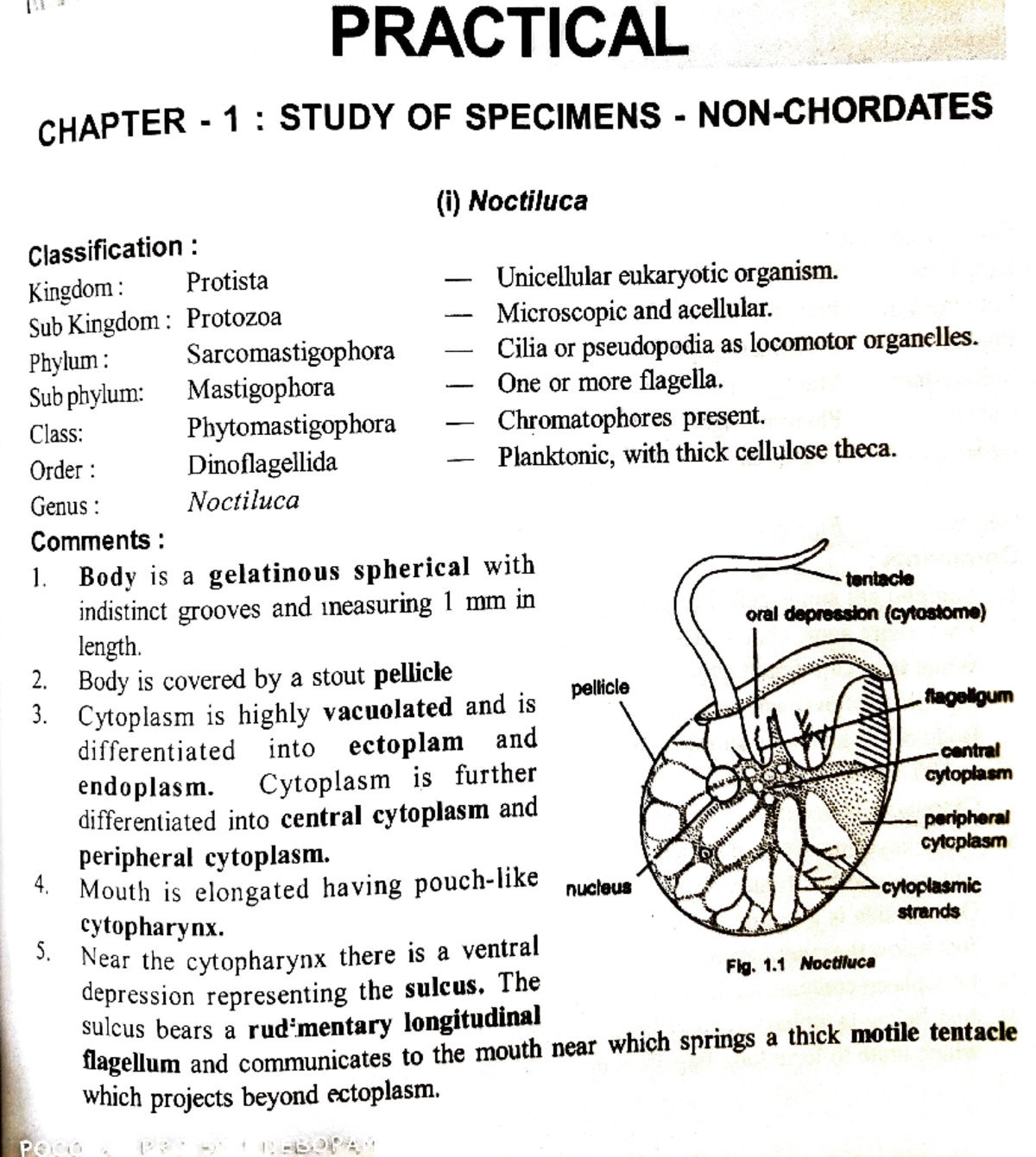 NON CHORDATES AND APPLIED ZOOLOGY PDF visual data 8