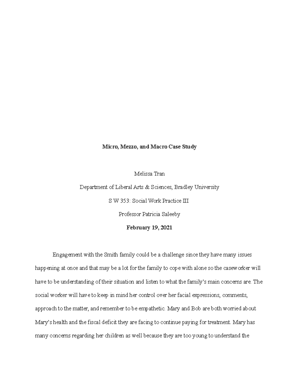 SW 353 - Micro, Mezzo, Macro Issues in Smith Family Case Study - Document Preview