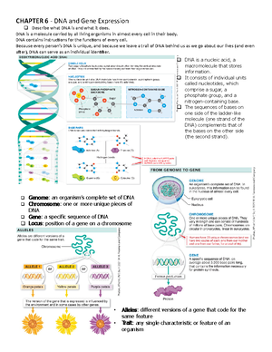 Eukaryotic Cell Division: Mitosis and Meiosis Exam Notes - Chapter 7-10 ...