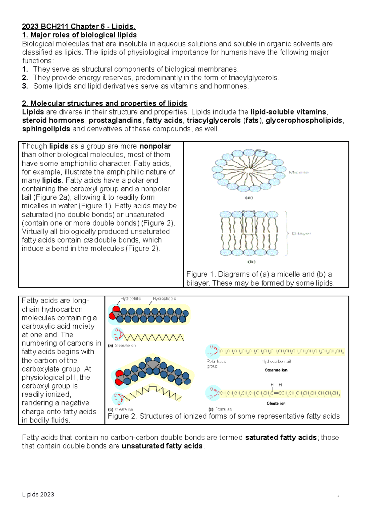 2023 BCH211 Lipids Lecture: Insights from Chapter 6 Details - Studocu