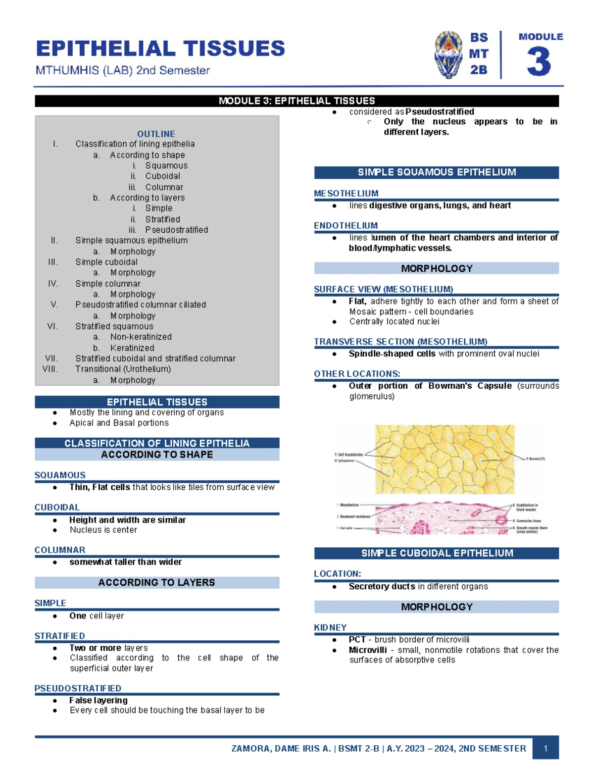 Histo LAB Mod 5 & 6: Muscle & Nervous Tissue Overview - Studocu