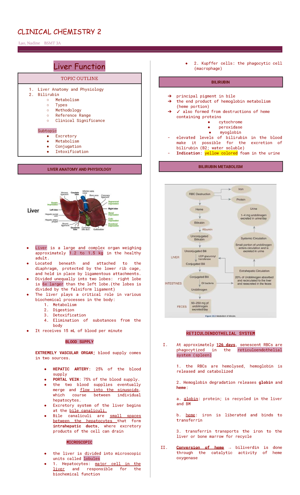 CC2 - Lecture Notes on Liver Function and Bilirubin Metabolism - Studocu