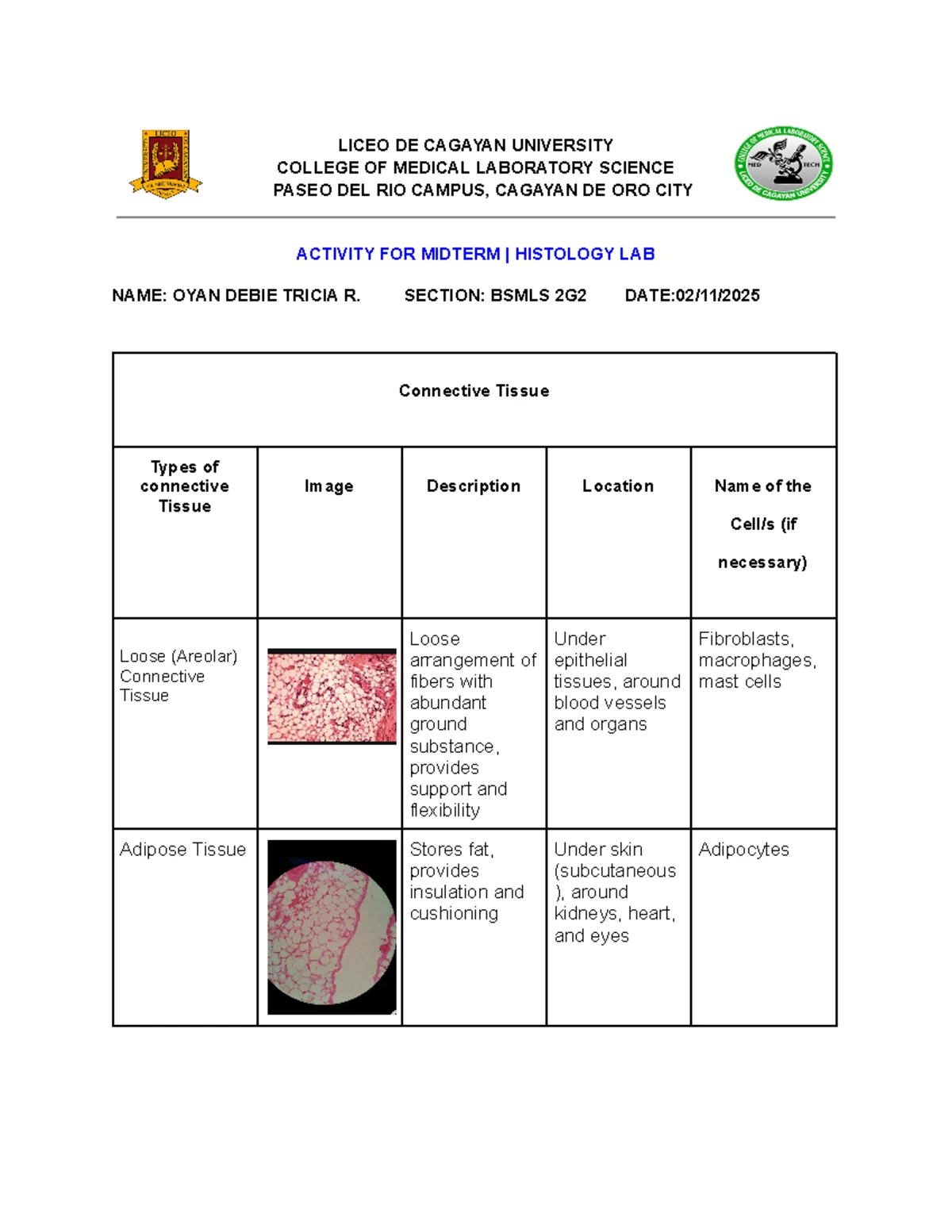 HISTOLOGY 1 MIDTERM NOTES: CONNECTIVE TISSUE OVERVIEW - Studocu