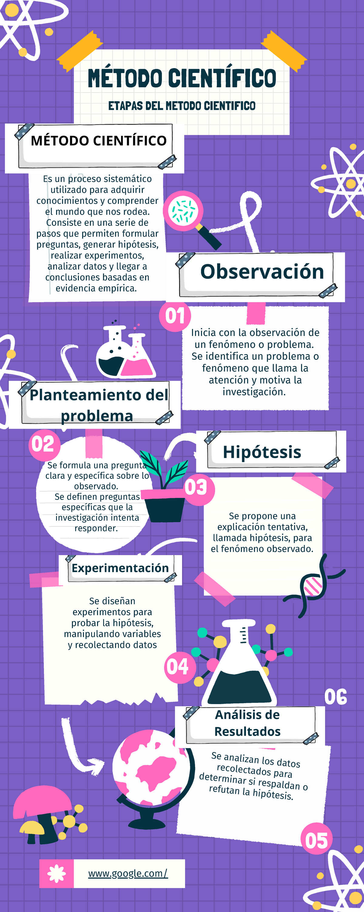 Infografía: Etapas del Método Científico - Studocu