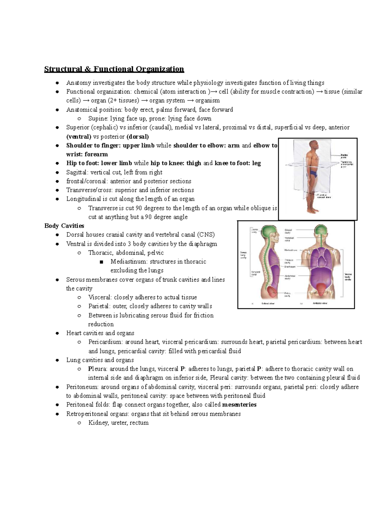 Structural & Functional Organization in Anatomy & Physiology - Studocu