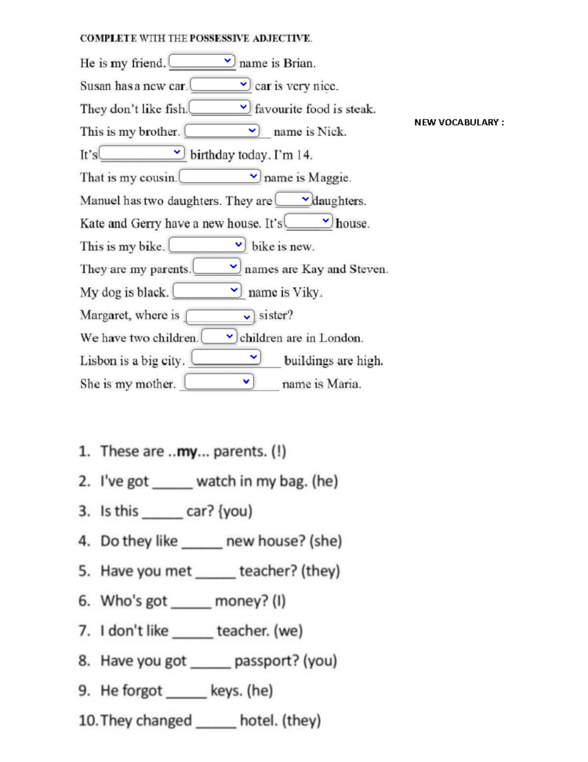 Grammar Activity: Possessive Adjectives Exercise for Students - Studocu