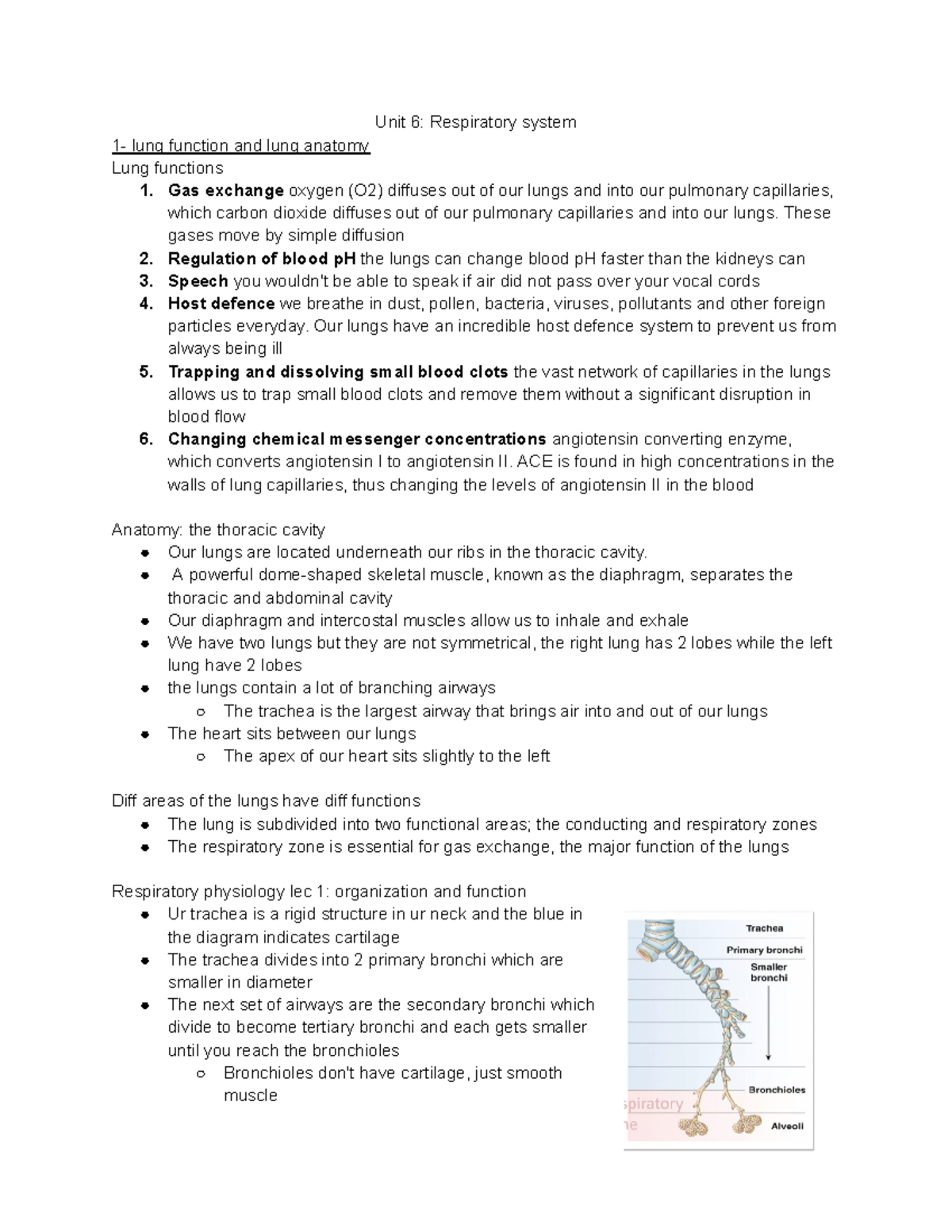 Unit 6: Respiratory System - Lung Function, Anatomy, and Gas Exchange ...