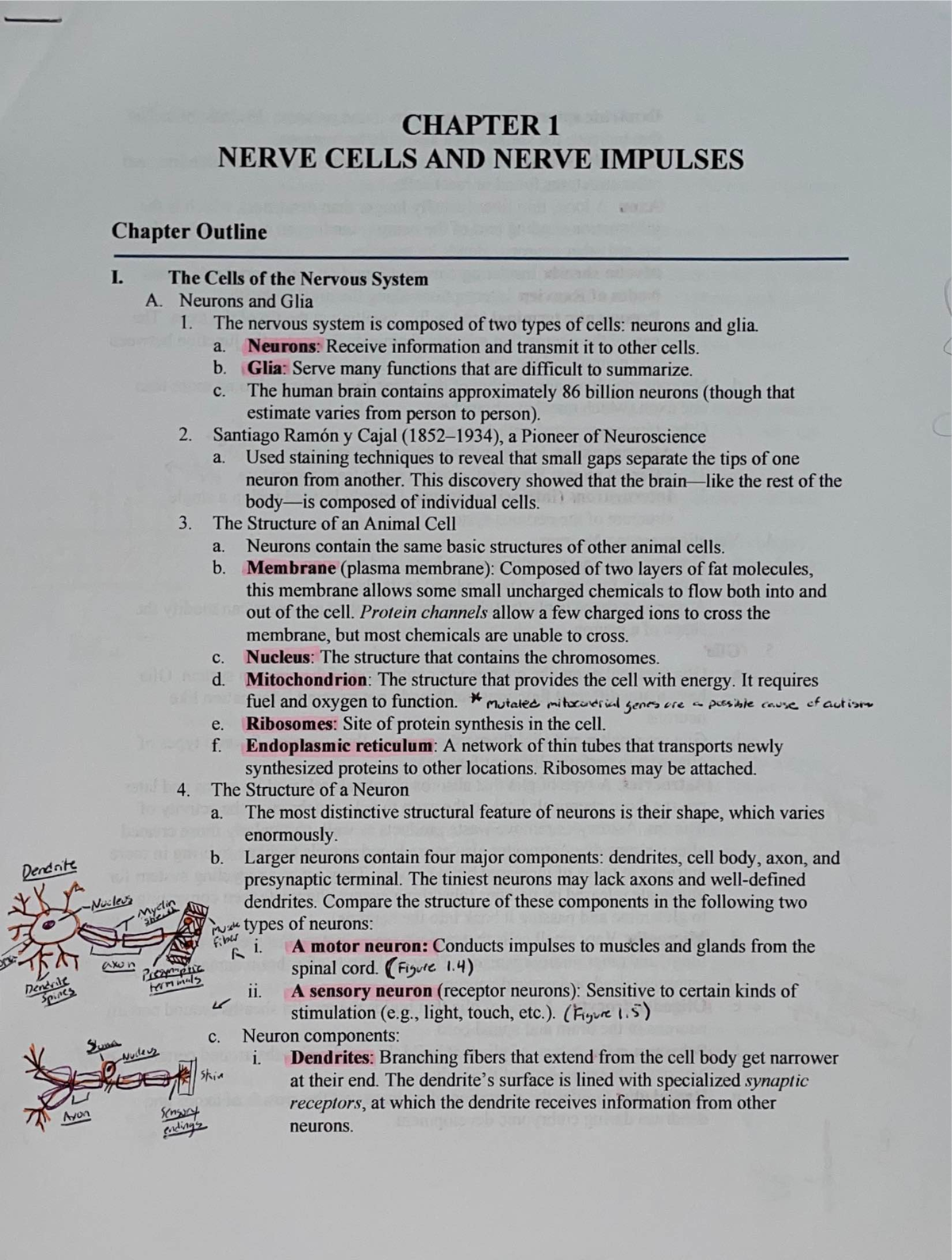 Psy 256 Ch. 1 - Chapter 1 outline discusses nerve cells and nerve ...