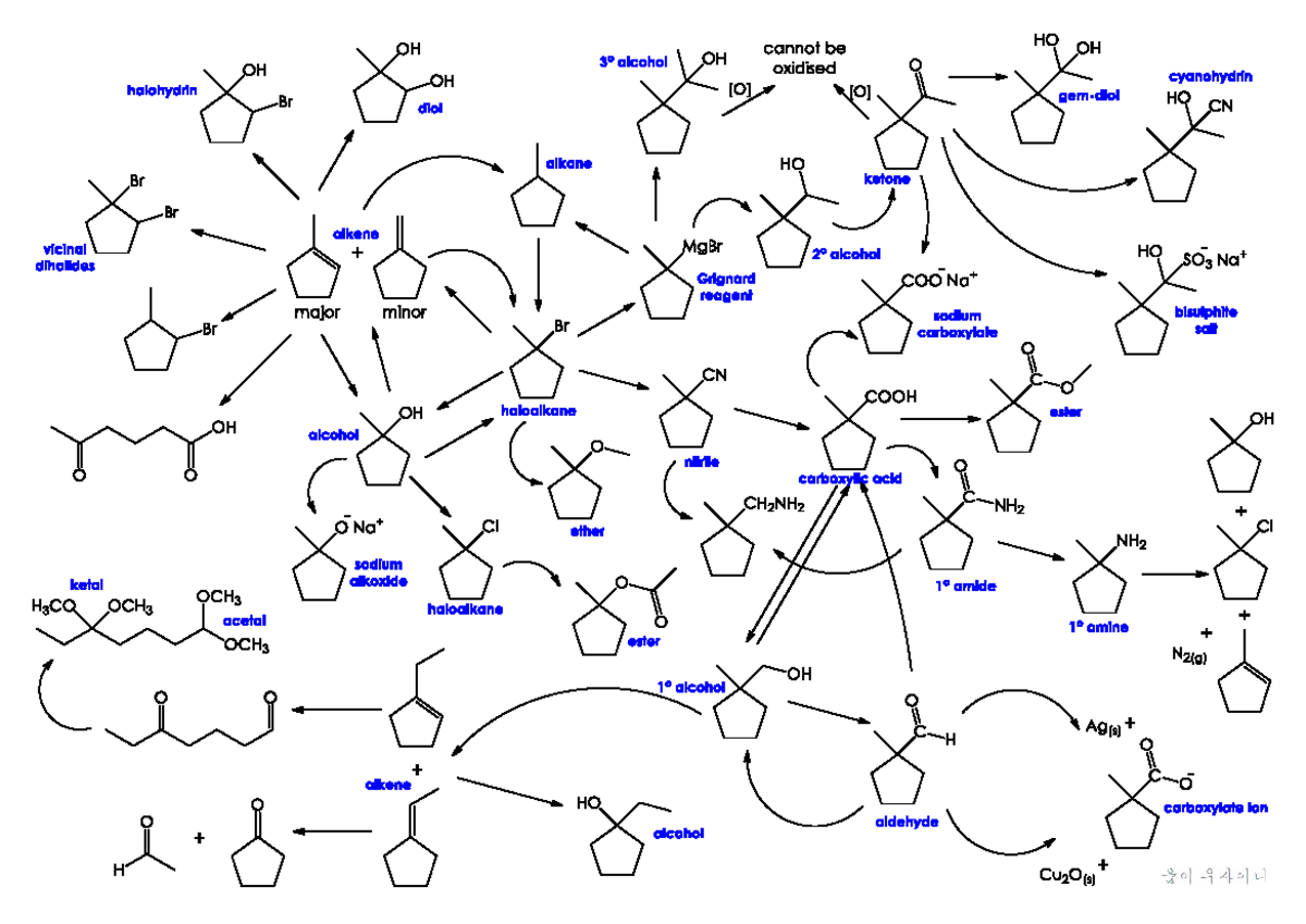Organic Reactions Overview - Tài liệu - Studocu