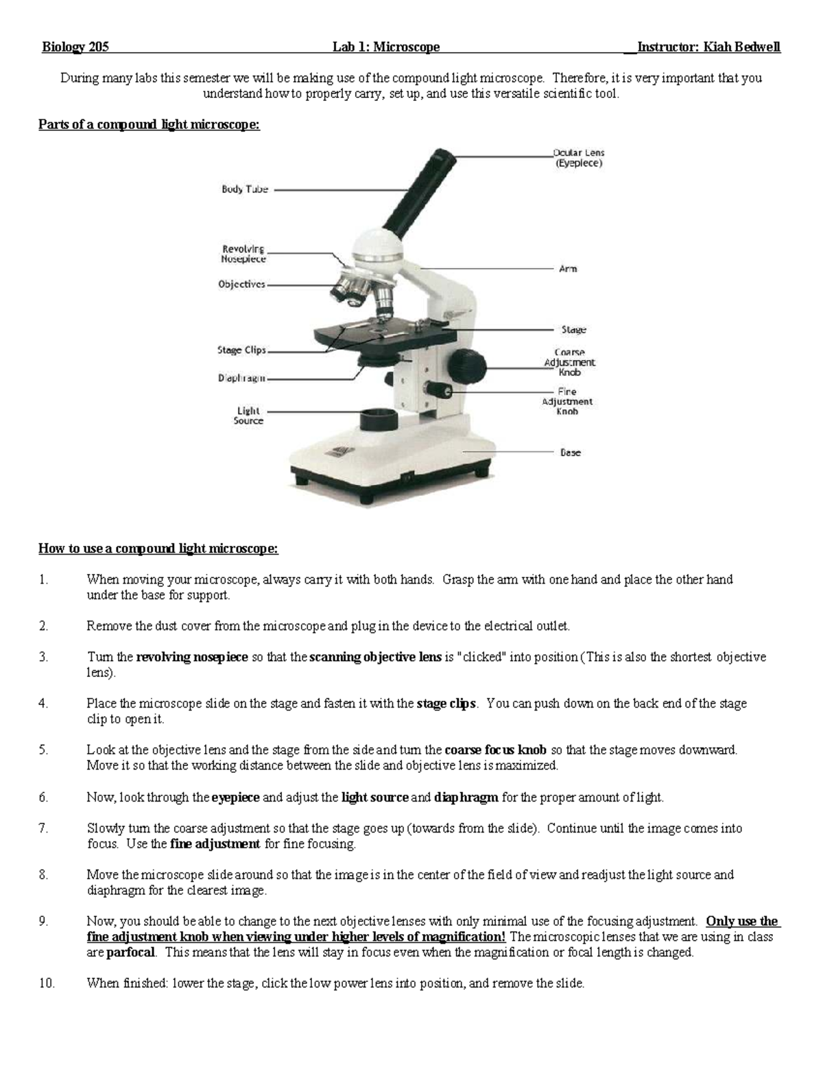 BIO 205 Lab 1: Compound Light Microscope Instructions - Studocu