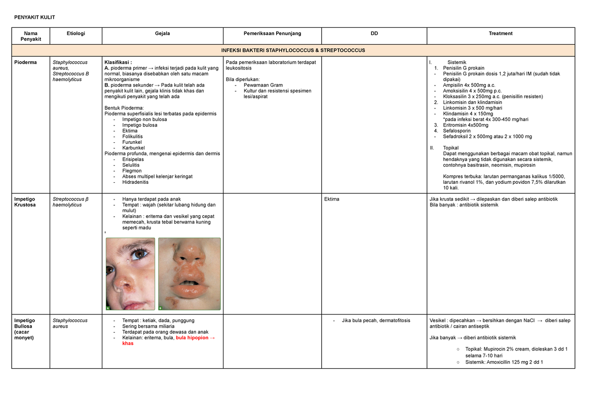 Infection Types and Treatments: Skin Bacterial Pathogens Overview - Studocu