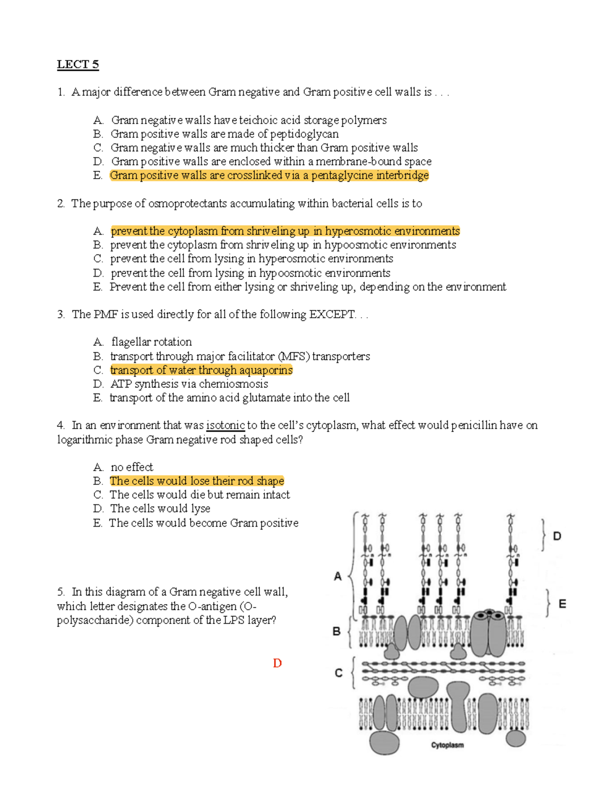 BIOL 221 MCQs 5 key - Mcq Questions and answers - LECT 5 A major ...