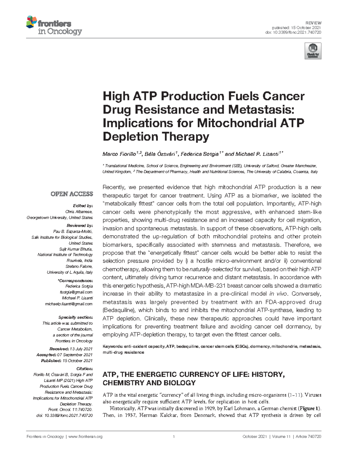 High ATP Levels in Cancer: Implications for Drug Resistance & Therapy ...