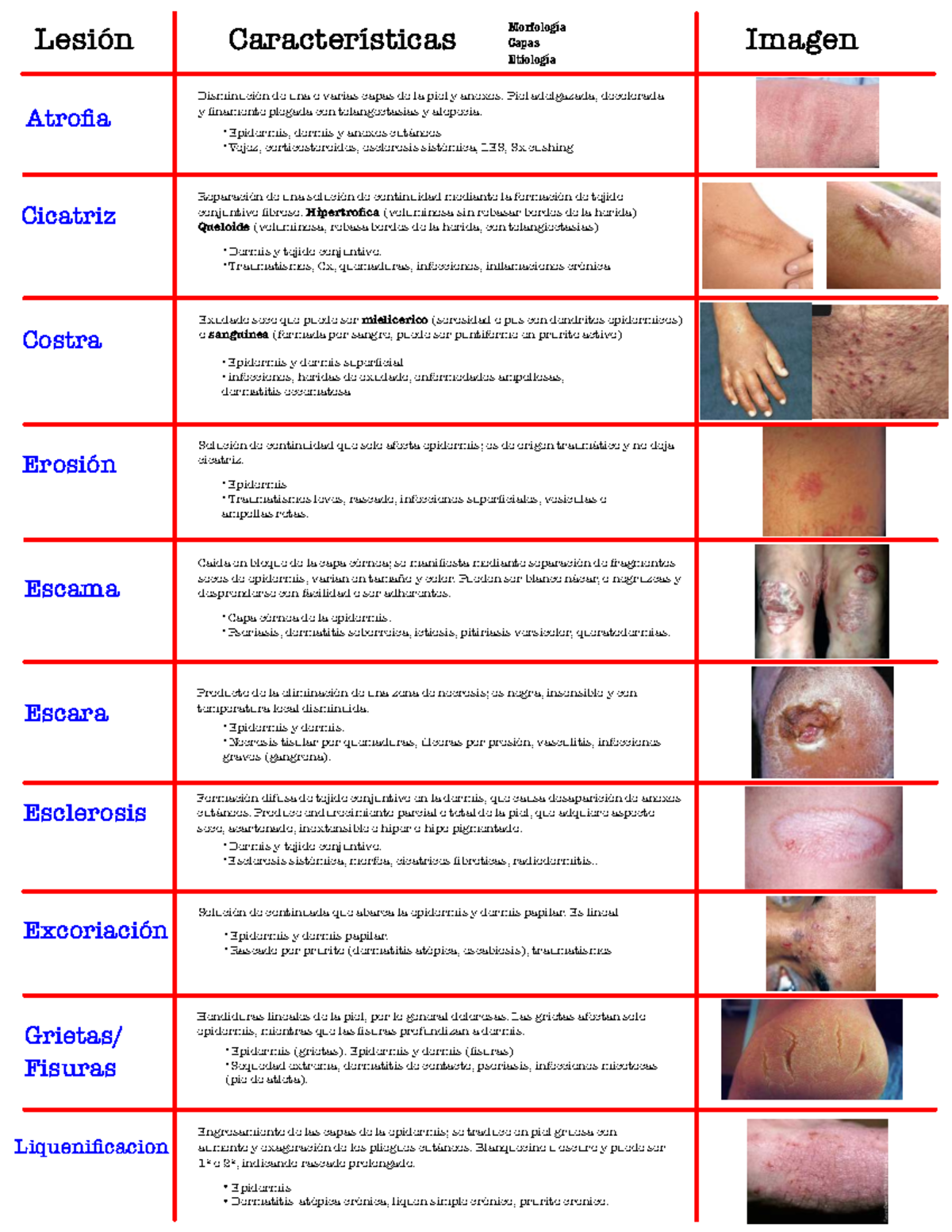 Derma Tabla De Lesiones Secundarias Y Caracter sticas Cl nicas Studocu