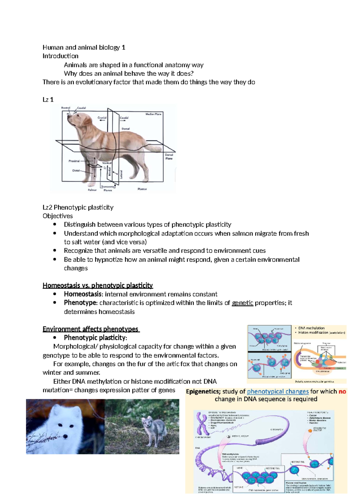 LZ1:2 - Lecture Notes on Phenotypic Plasticity in Animals - Studeersnel