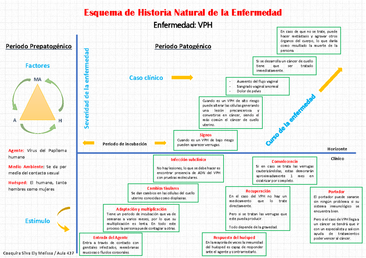 Historia Natural Dela Enfermedad Vph Pdf