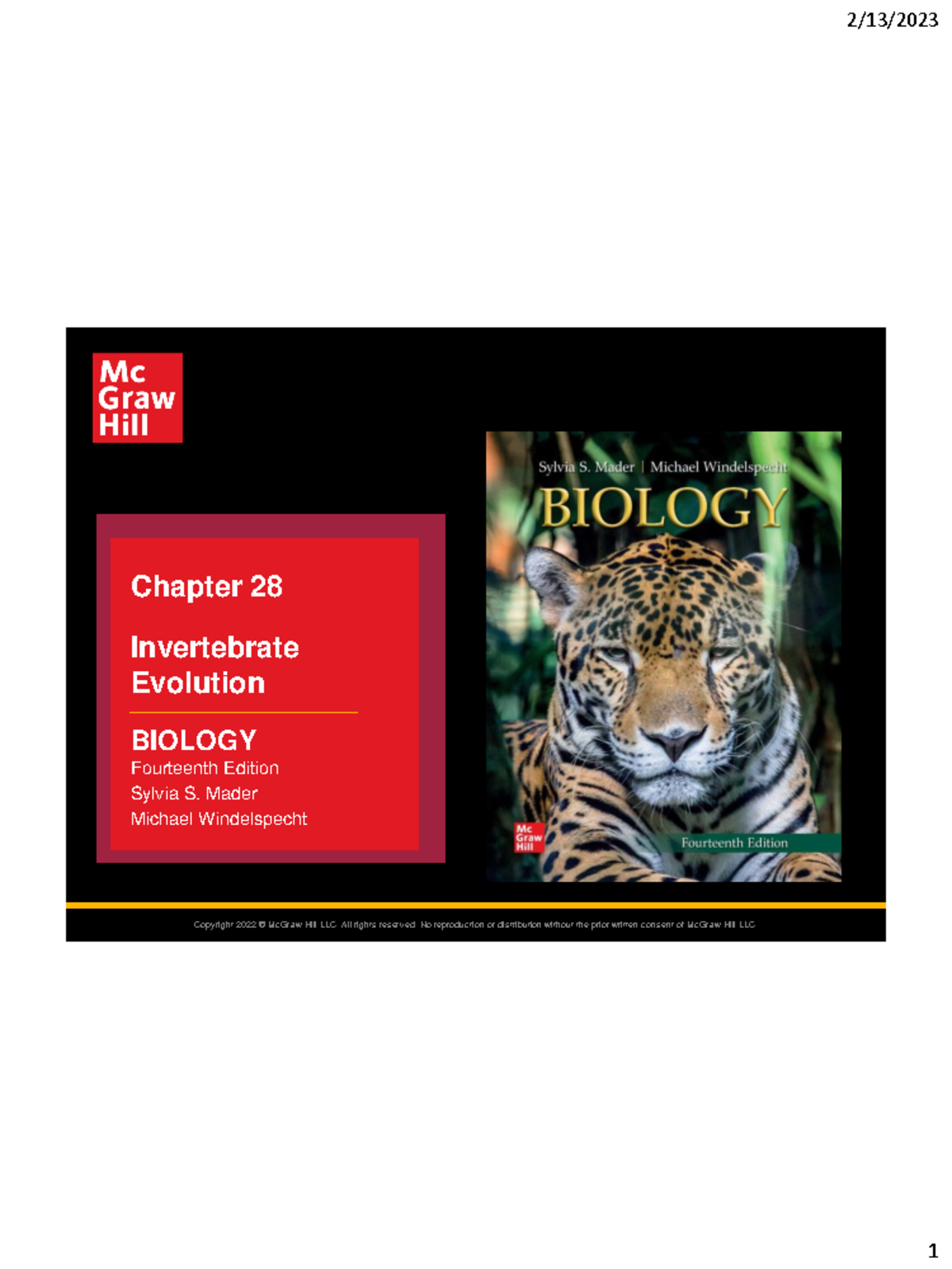 Photo inspiration: Invertebrate Evolution Chapter 28 Biology Sylvia S Mader Notes Photo Inspiration