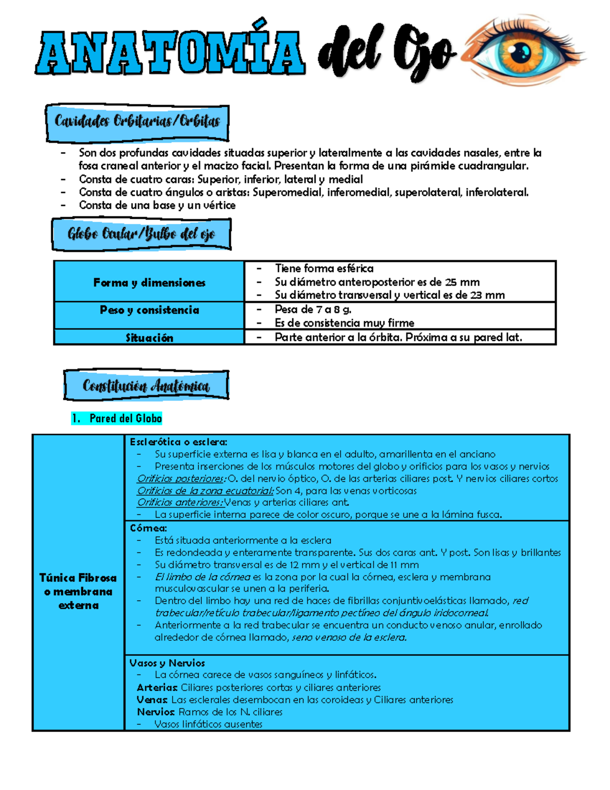 Resumen de Anatomía del Ojo según Henry Rouviere - 2023 - Document Preview