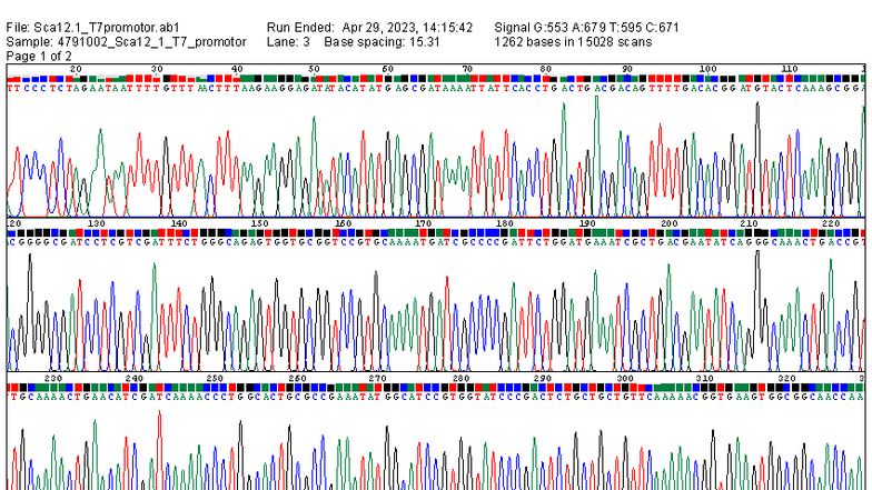 Sca12 - SDF Analysis of T7 Promoter Sequence Data - Studocu