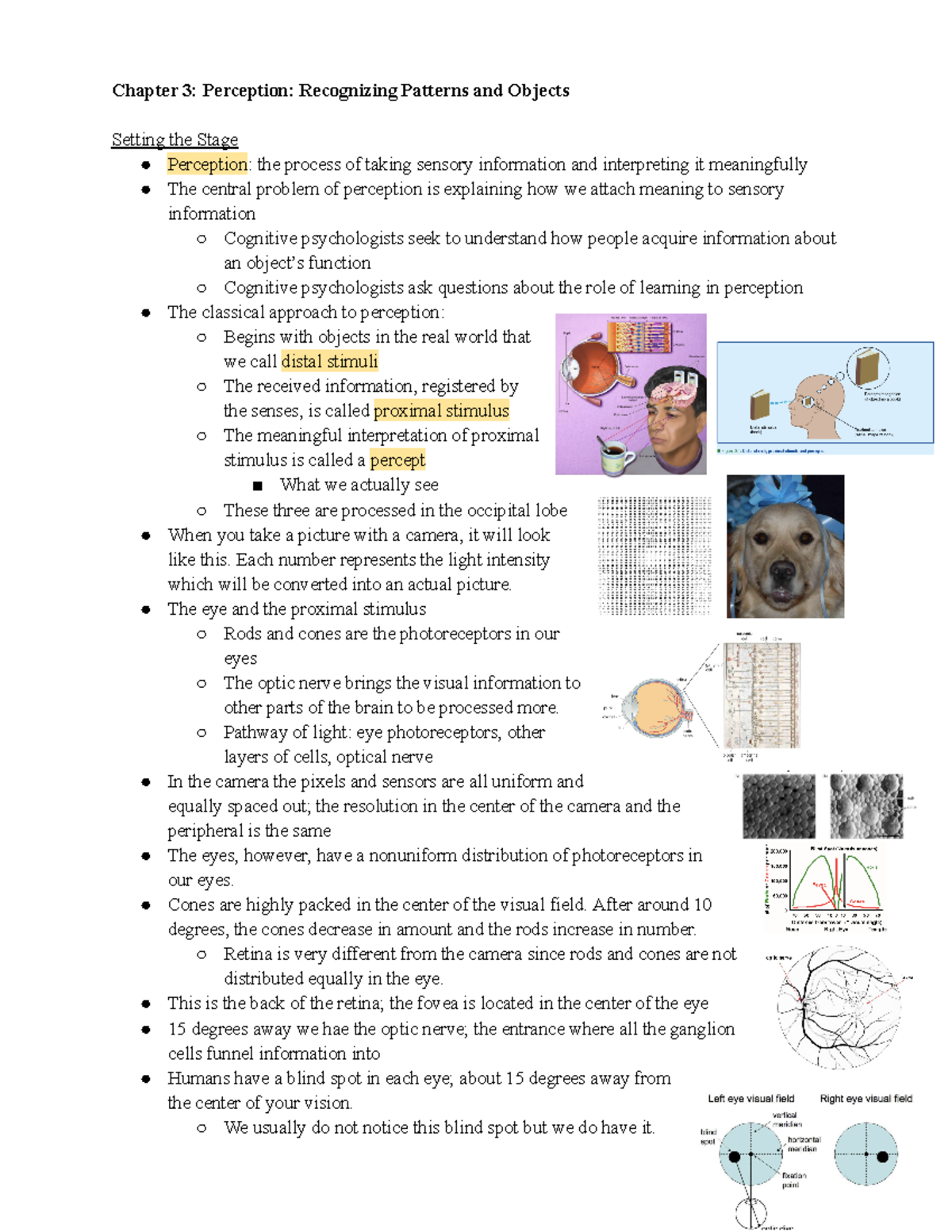 Chapter 3 - Perception, Recognizing Patterns and Objects - Chapter 3 ...