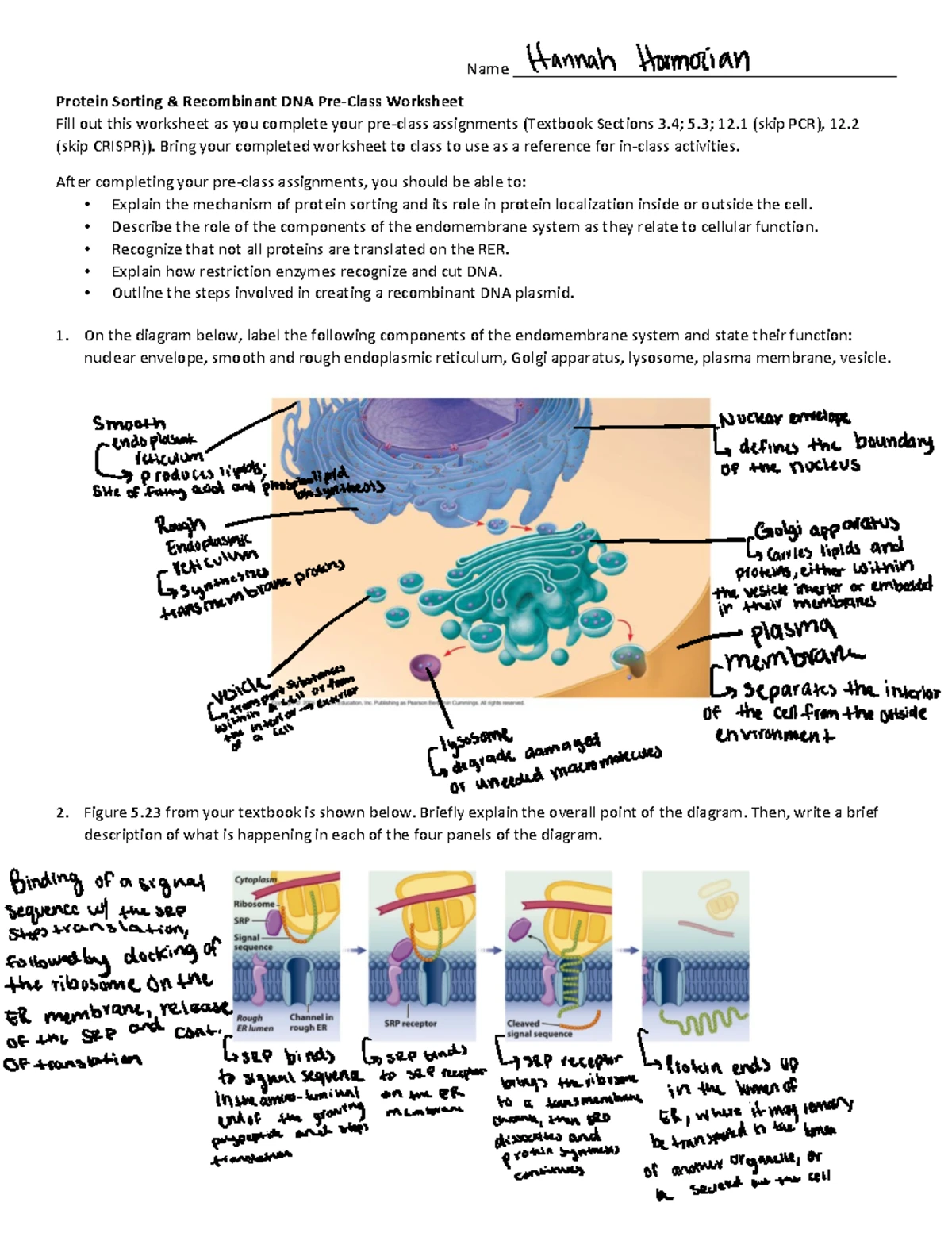 Week 7b Pre-Class Reading Guide: Prokaryotic Gene Regulation Essentials ...