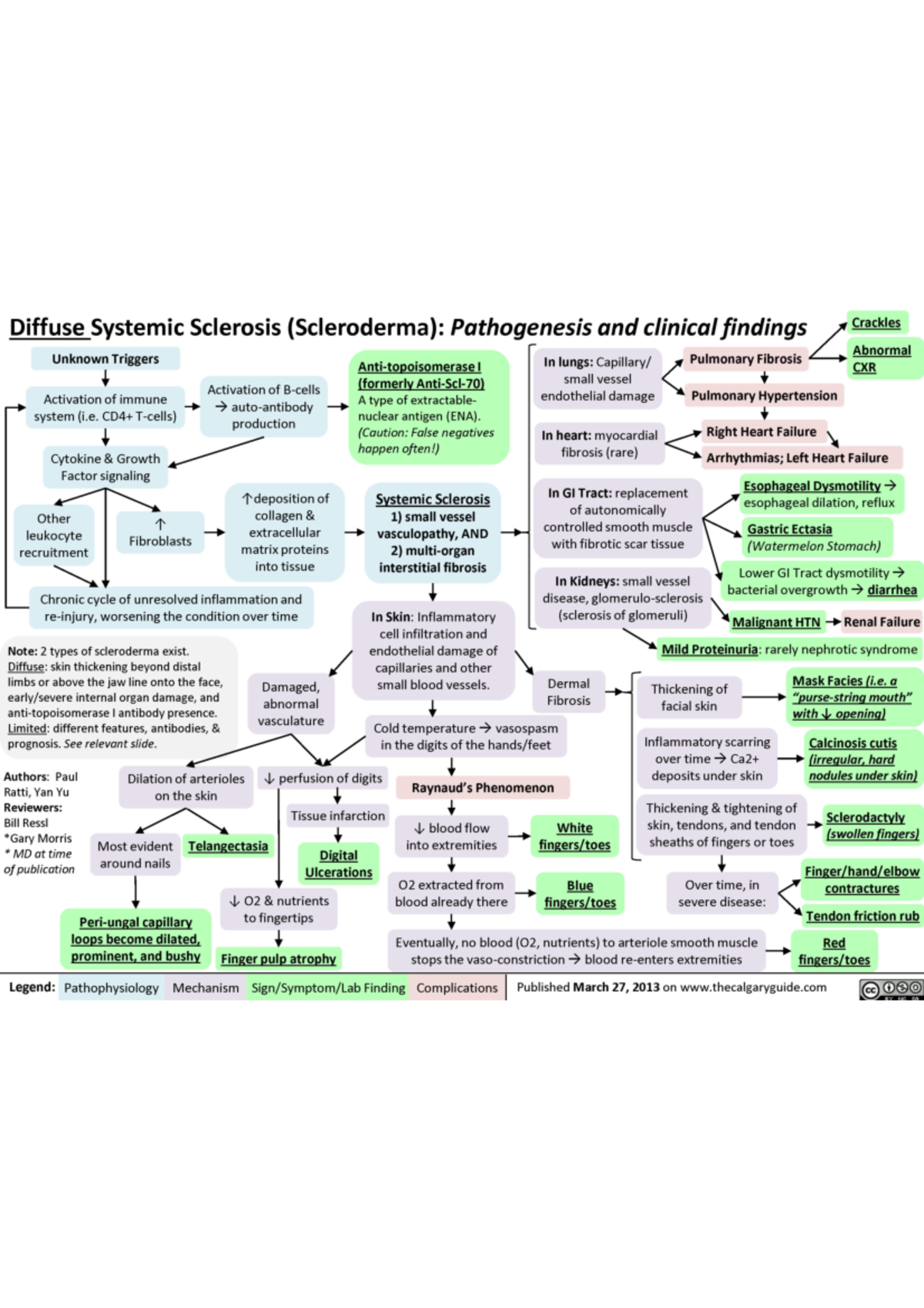 Acute Rheumatic Fever Pathogenesis And Clinical Findings 850x472