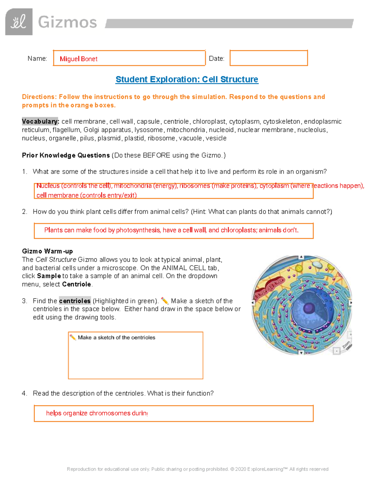 Cell Structure Exploration SE - Miguel Bonet [Template] - Studocu