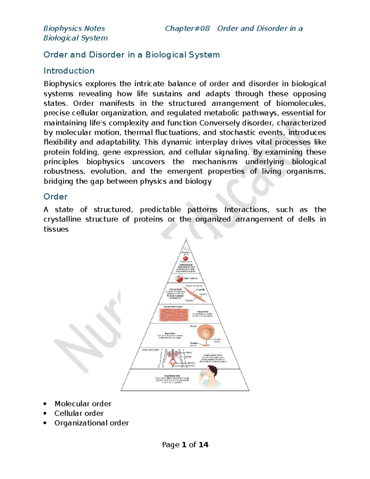 Nucleotides Notes: Biophysics & Biochemistry Overview of RNA & DNA ...