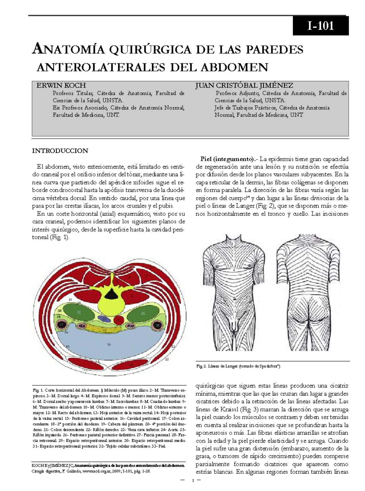Anatomía Quirúrgica de las Paredes Anterolaterales del Abdomen - ANAT ...