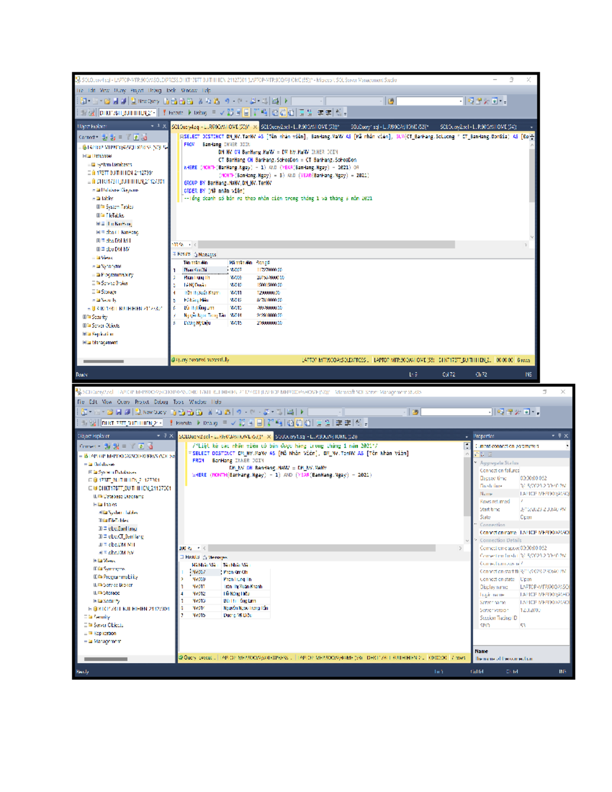 SQL Query Analysis for DHKT17BTT_BUITHIHIEN - Employee Sales Data - Studocu