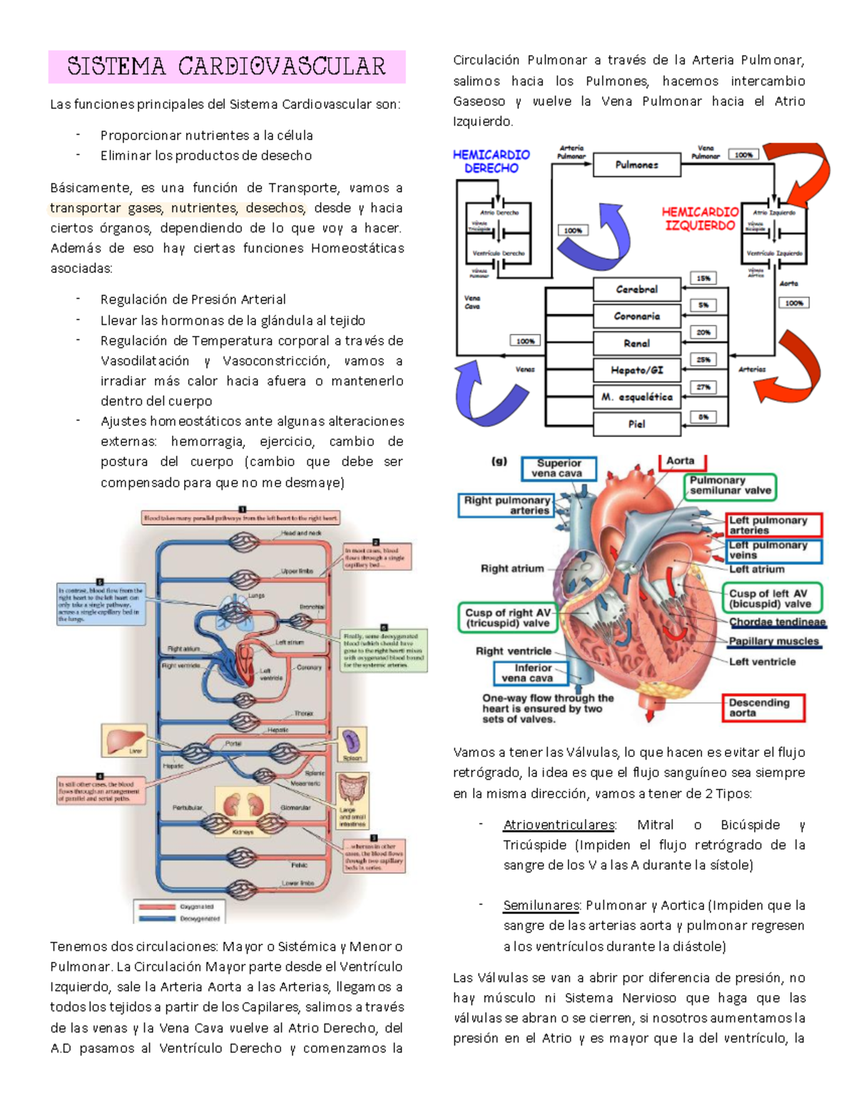 Fisiología - Apunte S3 - Solemne 3: Sistema Cardiovascular y Funciones - Document Preview
