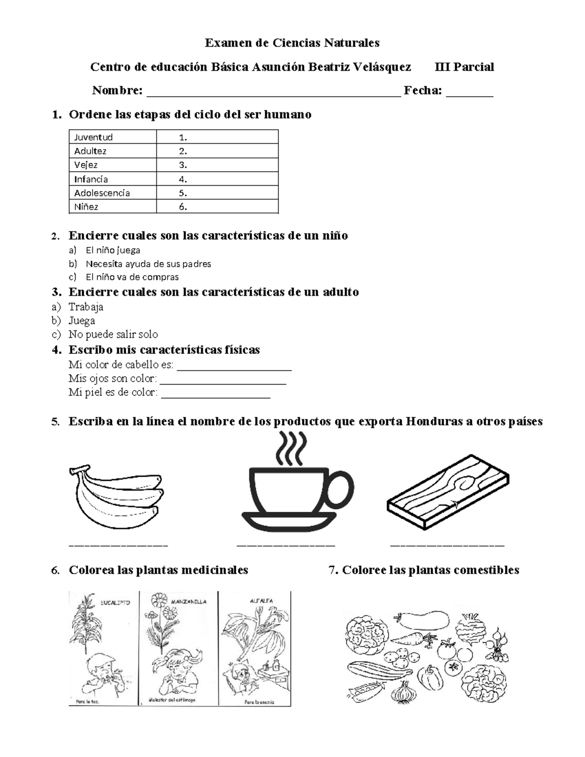 GUÍA DE ESTUDIO 4TO GRADO Ciencias Naturales 2024: Plantas y Animales -  Studocu, image size:1200x1553