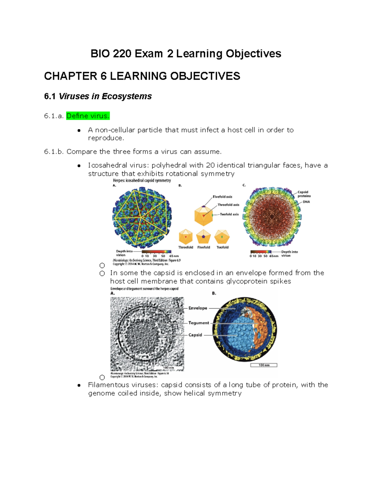 BIO 220 Exam 2 Study Guide: Viruses, Energy, and Metabolism - Studocu